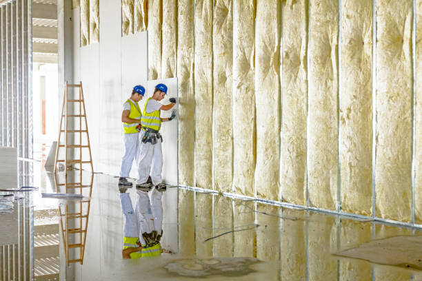 Best Insulation for Existing Homes  in Wyldwood, TX